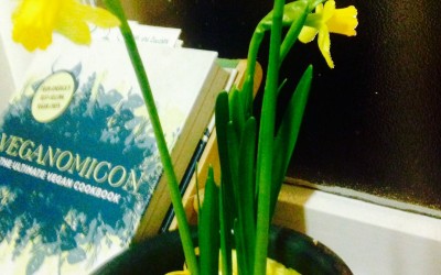 Preparing to embrace Spring