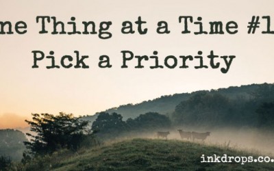 One thing at a time #1- Pick a priority