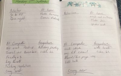 In which I try a second week of bullet journalling