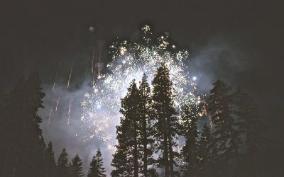 Things we’ve learned in 2016
