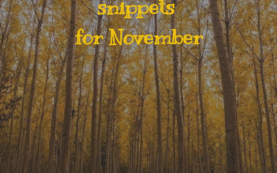 An envelope of snippets for November