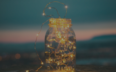 What we learnt in 2017