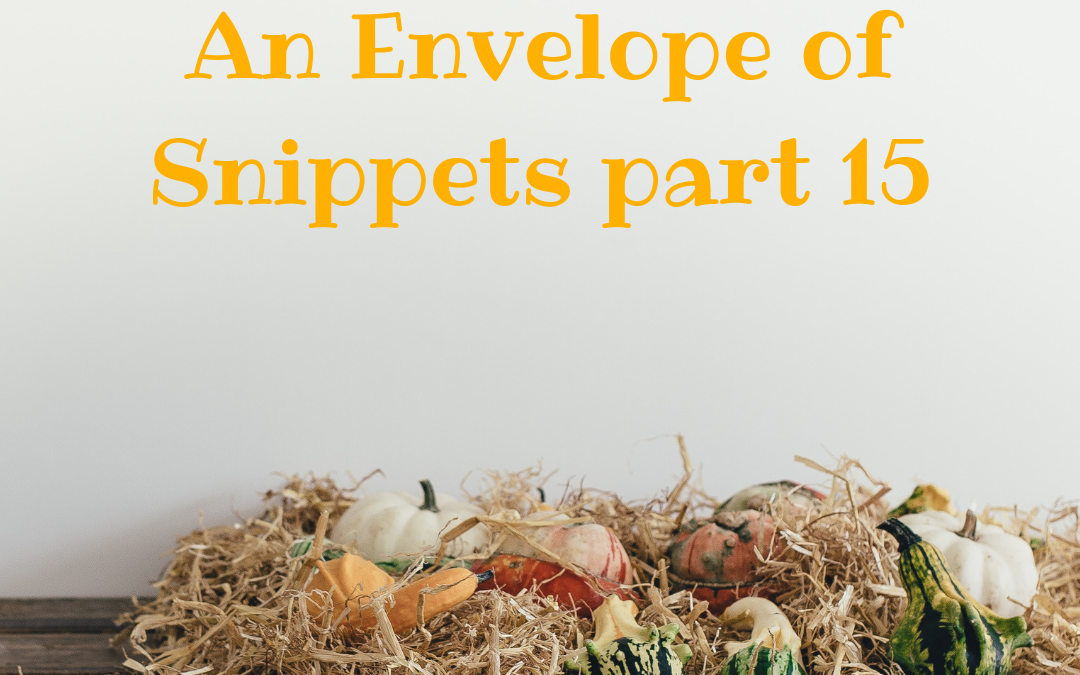 An Envelope of Snippets 15: making envelopes and getting cosy