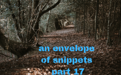 An envelope of snippets part 17
