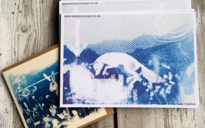 Meet the Maker: Kim Tillyer at Witchmountain
