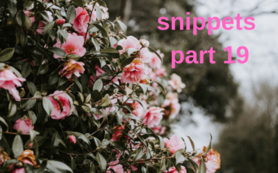 An envelope of snippets part 19