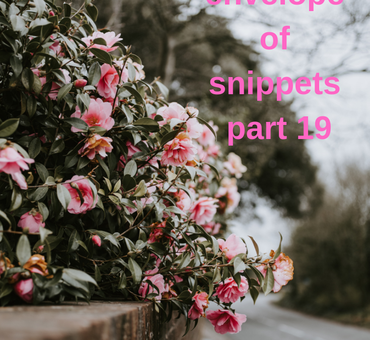 An envelope of snippets part 19