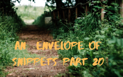 An Envelope of Snippets part 20