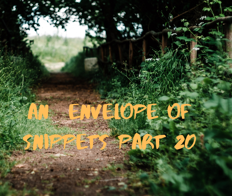 An Envelope of Snippets part 20