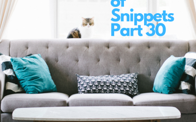 An Envelope of Snippets Part 30