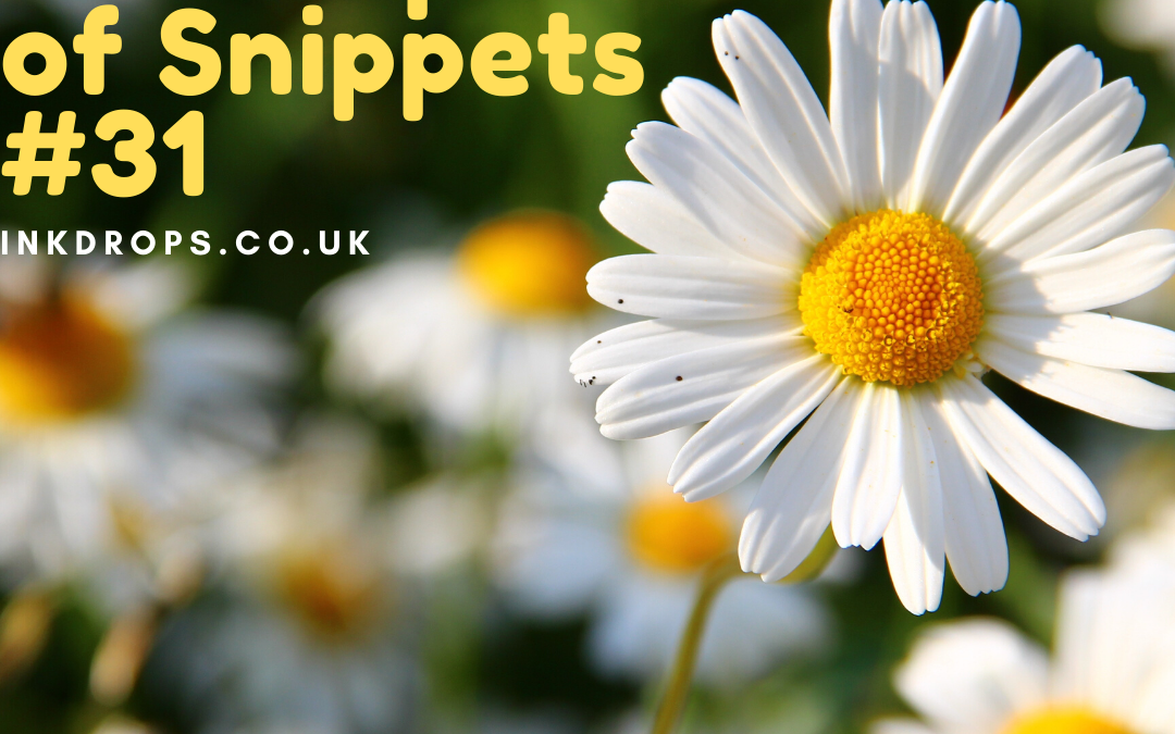 An Envelope of Snippets Part 31