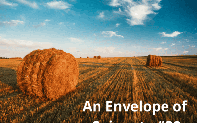 An Envelope of Snippets #39