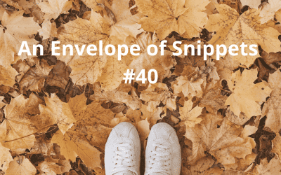 An Envelope of Snippets #40