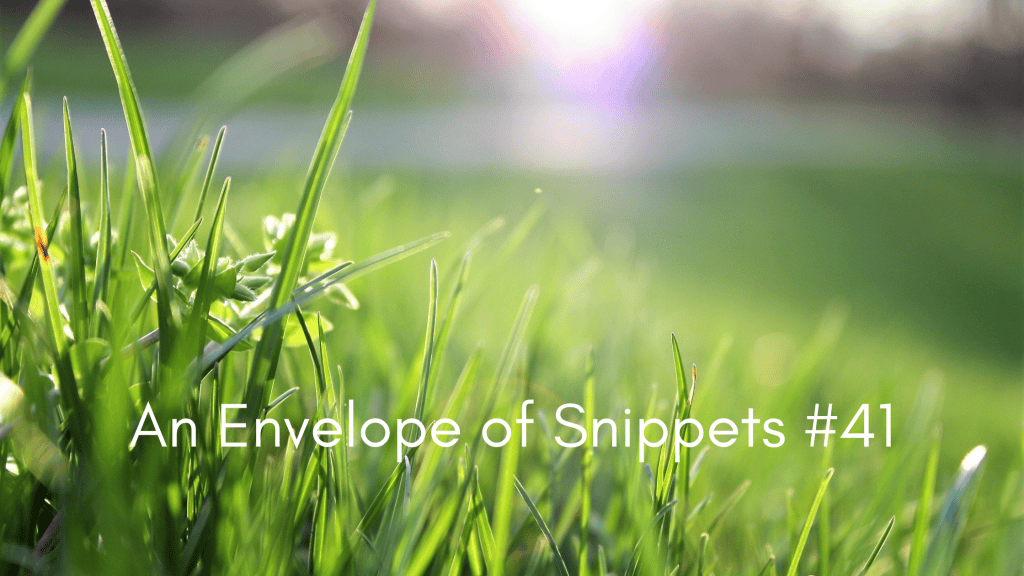 Green grass and sunlight - an envelope of snippets #41 -  a links round up from inkdrops.co.uk