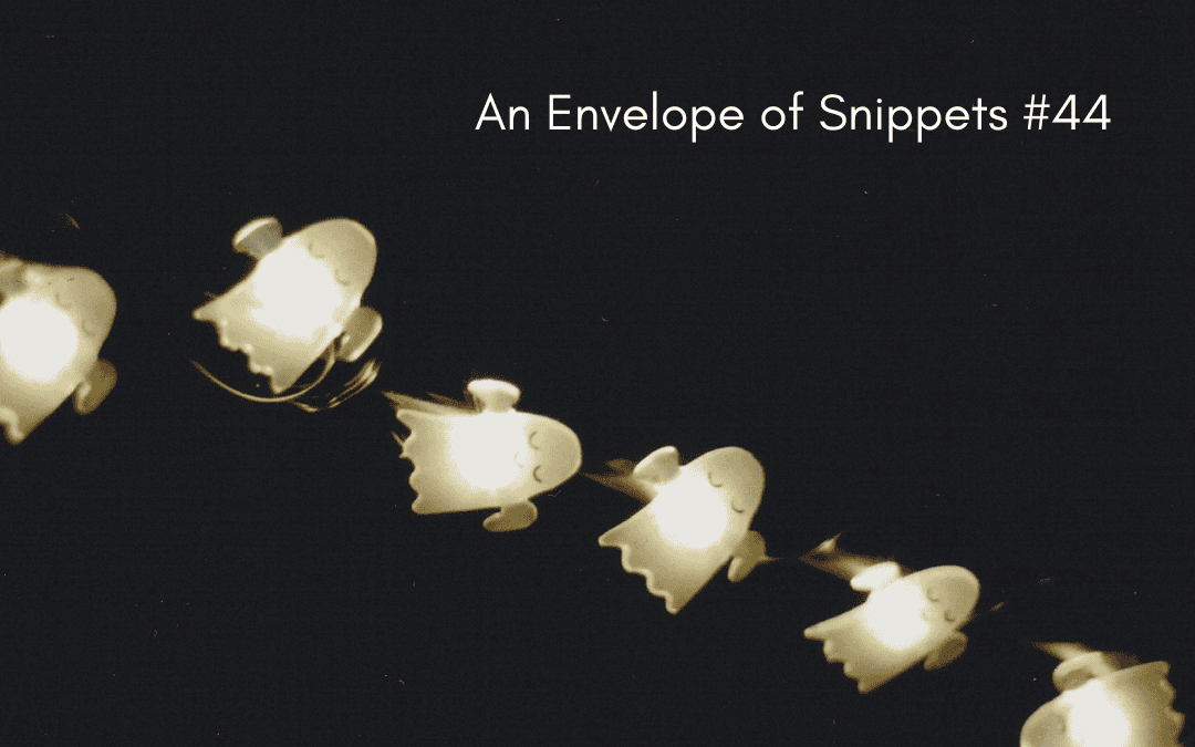 An Envelope of Snippets #44