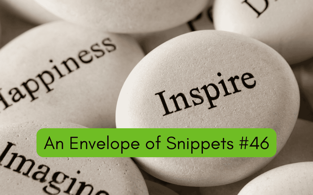 An Envelope of Snippets #46